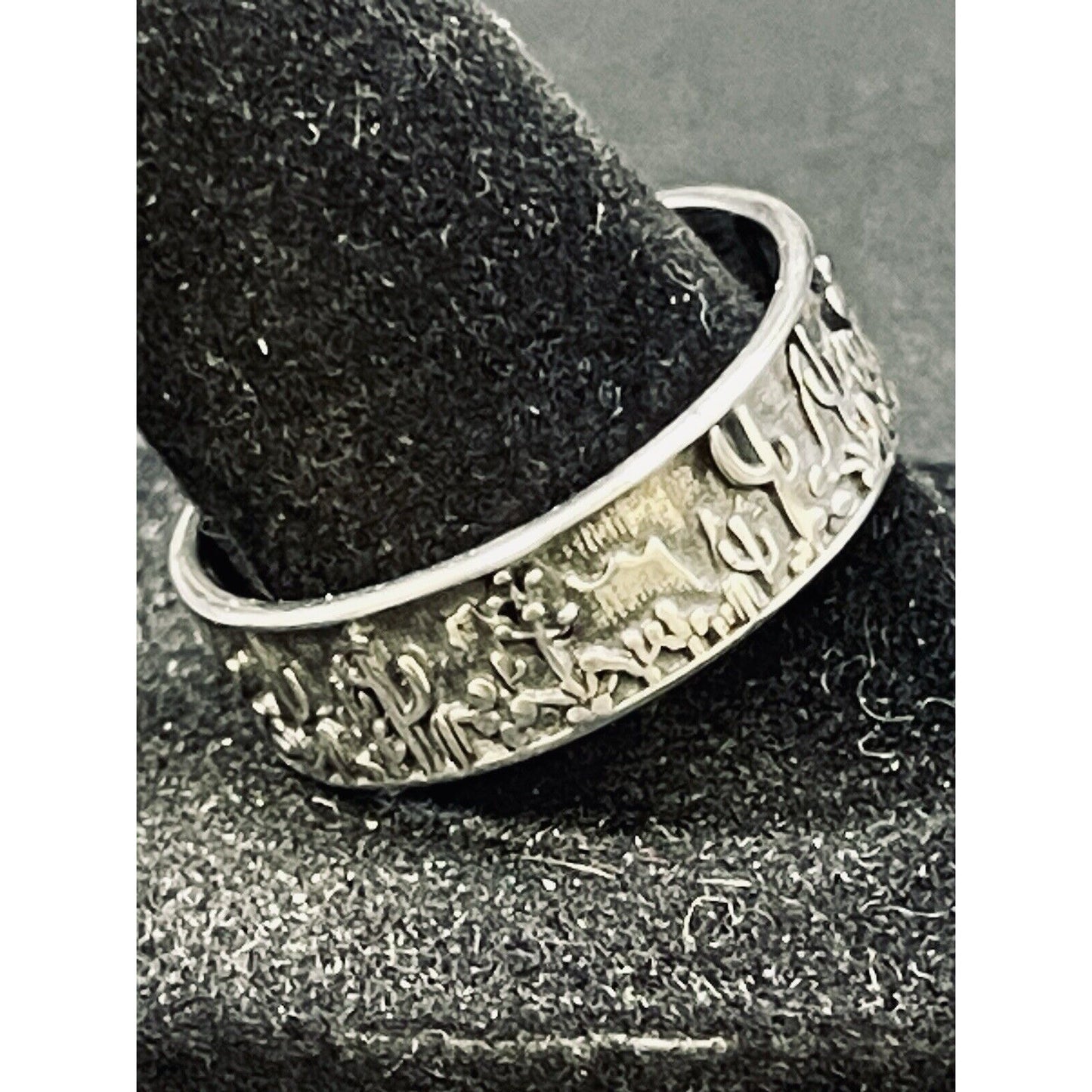 New Condition Sterling Silver Desert Scene Band Ring Size 10.00