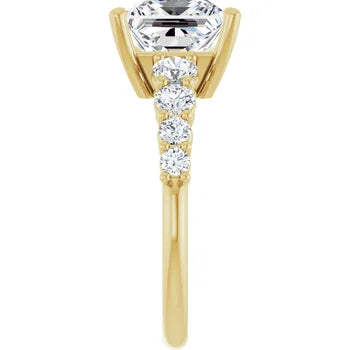 The Park